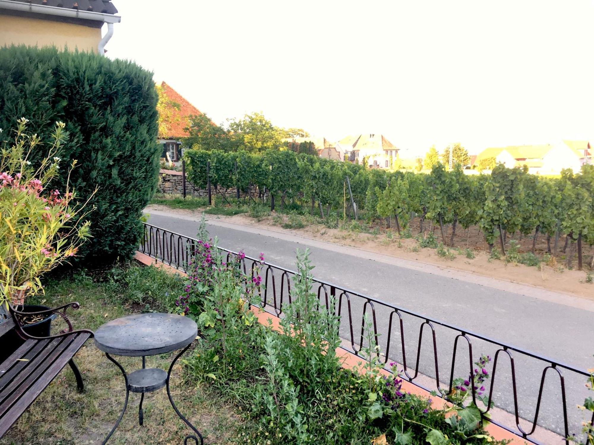 Ferienwohnung Suedpfalzblick Burrweiler Buitenkant foto